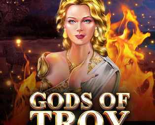 
                            Gods Of Troy