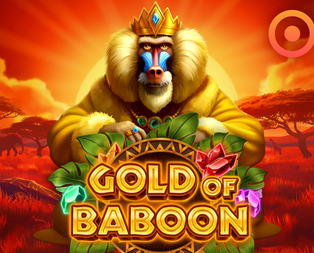 
                            Gold of Baboon