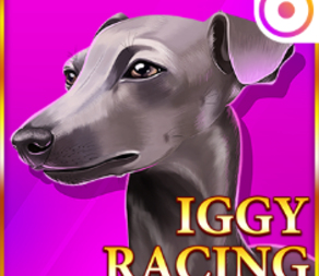 
                            Iggy Racing
