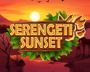 Serengeti Sunset