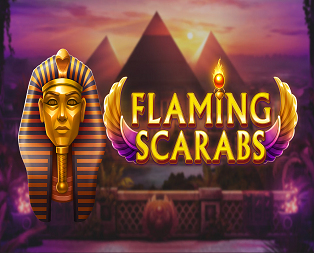 
                            Flaming Scarabs AZ