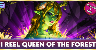 1 Reel - Queen Of The Forest