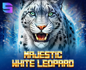 Majestic White Leopard