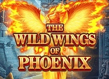 
                            The Wild Wings of Phoenix