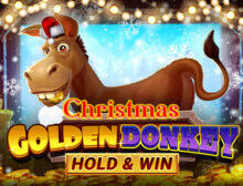 Golden Donkey Xmas