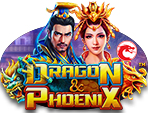 
                            Dragon & Phoenix