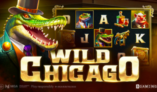 
                            Wild Chicago