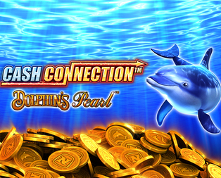 
                            Cash Connection Dolphin's Pearl