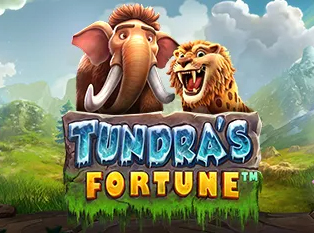 
                            Tundra’s Fortune™
