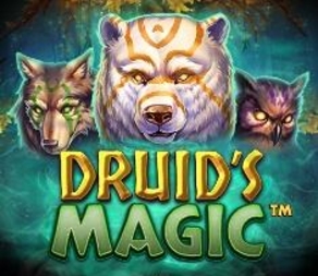 
                            Druid’s Magic
