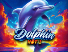 Dolphin Hot 1