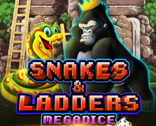 
                            Snakes and Ladders Megadice™