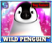 Wild Penguin