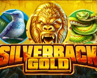 
                            Silverback Gold