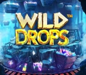 
                            Wild Drops