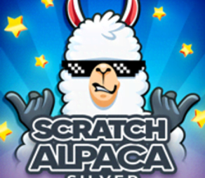 
                            Scratch Alpaca Silver