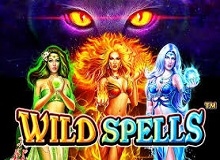 
                            Wild Spells™