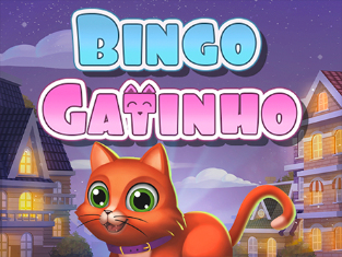 
                            Bingo Gatinho