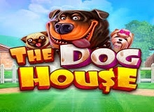 
                            The Dog House™