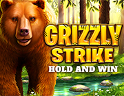 
                            Grizzly Strike
