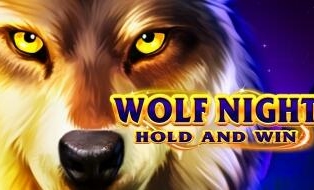 
                            Wolf Night