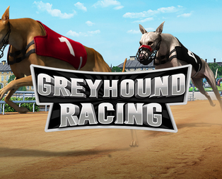 
                            Greyhound Racing