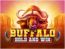 
                            Buffalo Hold and Win