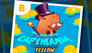 
                            Capymania Yellow