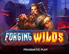 
                            Forging Wilds