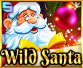 Wild Santa