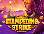 
                            Stampeding Strike