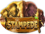 
                            Stampede
