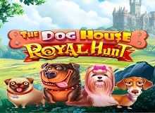 
                            The Dog House – Royal Hunt