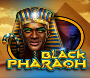 
                            Black Pharaoh