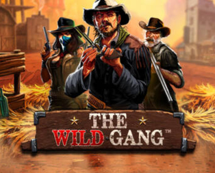 
                            The Wild Gang