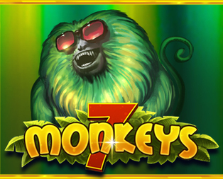 
                            7 Monkeys™