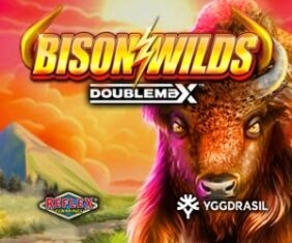 Bison Wilds DoubleMax