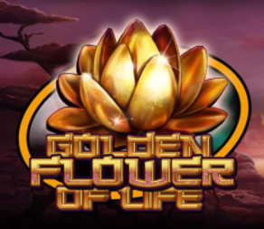 
                            Golden Flower Of Life