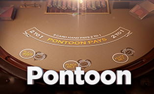 
                            Pontoon 21