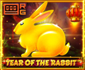 Year Of The Rabbit