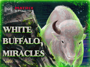 
                            White Buffalo Miracles Scratch