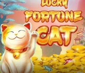
                            Lucky Fortune Cat