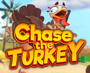 Chase the Turkey ™