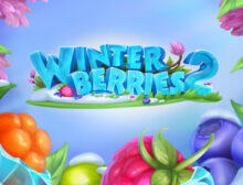 Winterberries 2