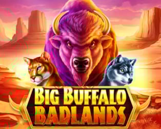Big Buffalo Badlands