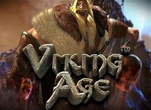 
                            Viking Age