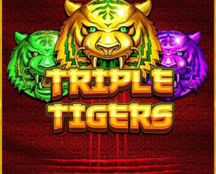 
                            Triple Tigers™