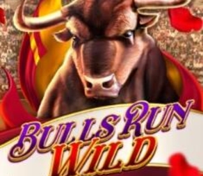 
                            Bulls Run Wild