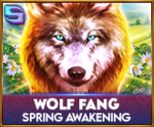 Wolf Fang - Spring Awakening