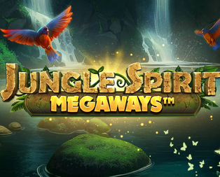 
                            Jungle Spirit Megaways